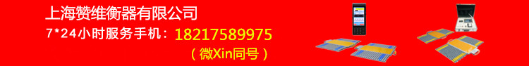 電子汽車(chē)衡|電子臺(tái)秤|電子秤|電子吊秤|電子天平|電子地磅|稱量?jī)x器